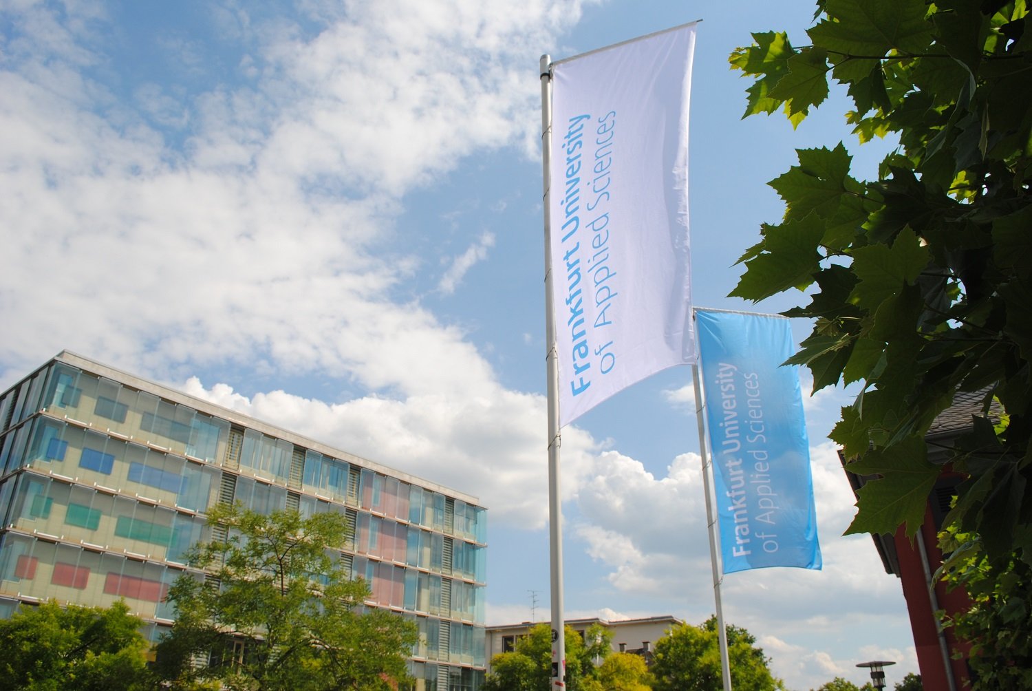 Flaggen auf dem Campus der Frankfurt UAS